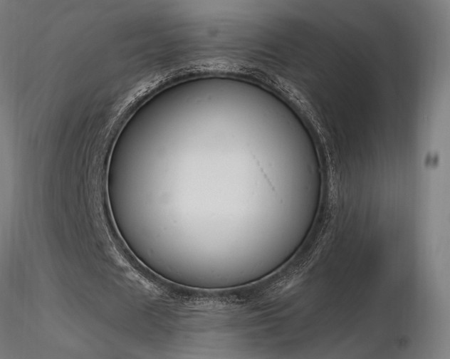 X0000116840625200912181458