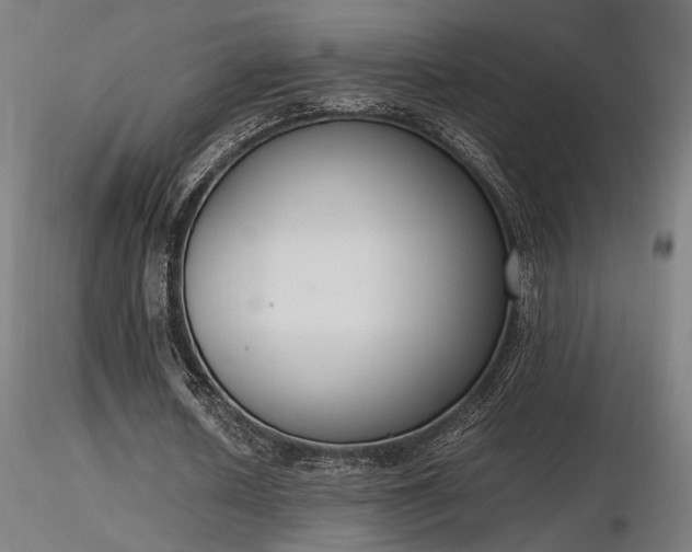 X0000116840626200912181458