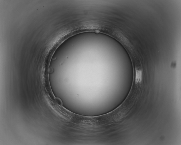 X0000116840627200912181458