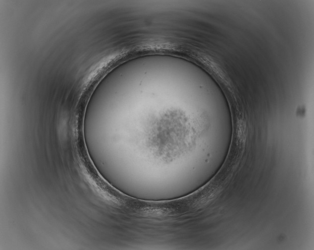 X0000116840629200912181458