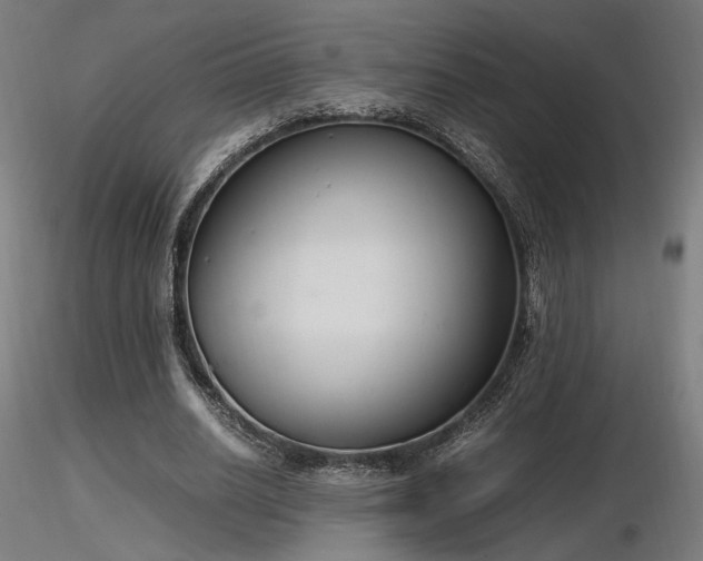 X0000116840630200912181458