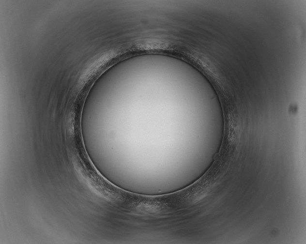 X0000116840631200912181458