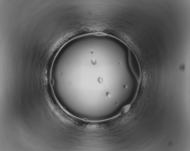 X0000116840634200912181458