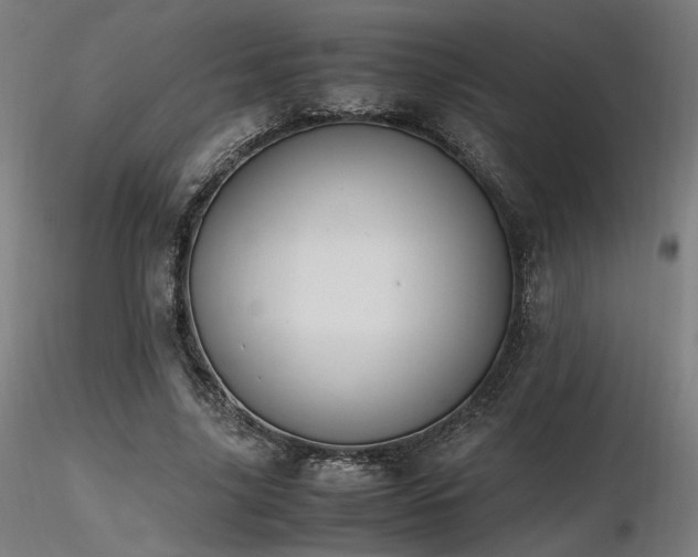 X0000116840635200912181458