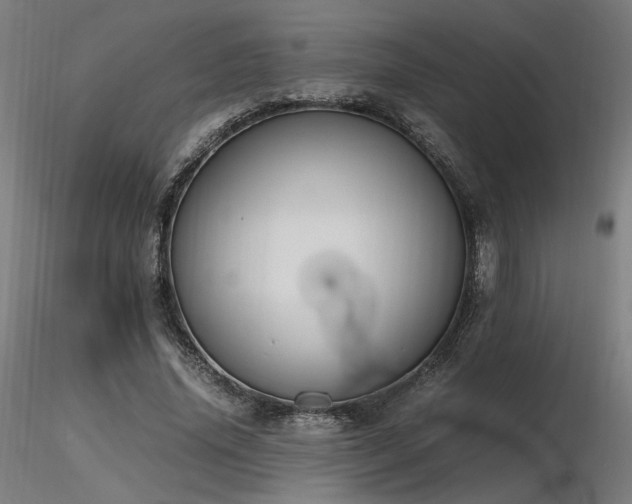 X0000116840636200912181458