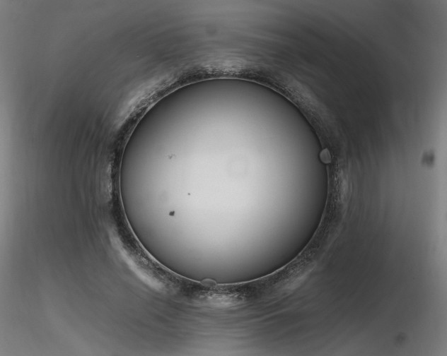 X0000116840638200912181458