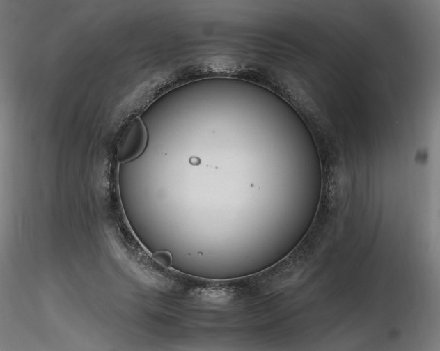 X0000116840639200912181458