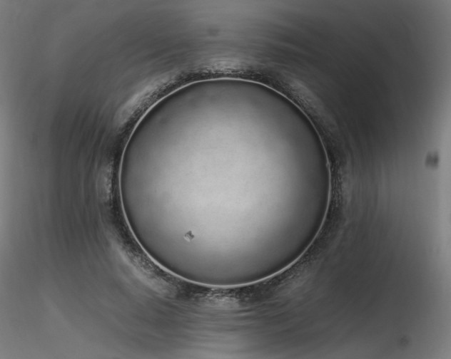 X0000116840640200912181458