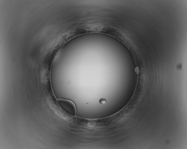 X0000116840641200912181458