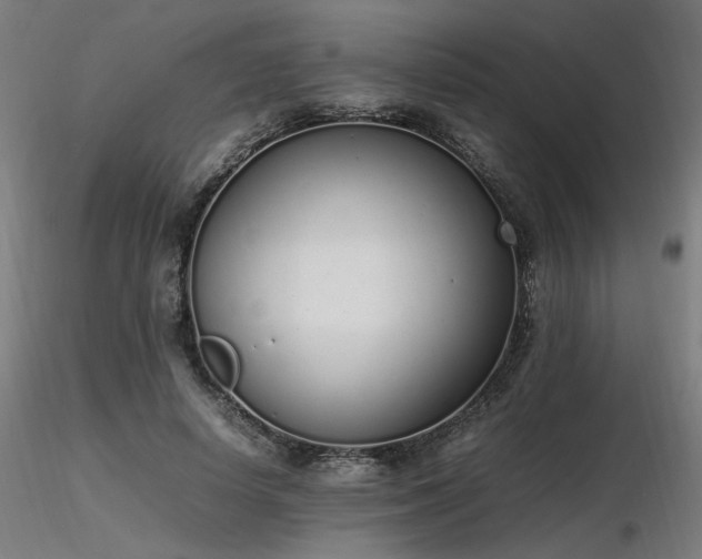 X0000116840642200912181458