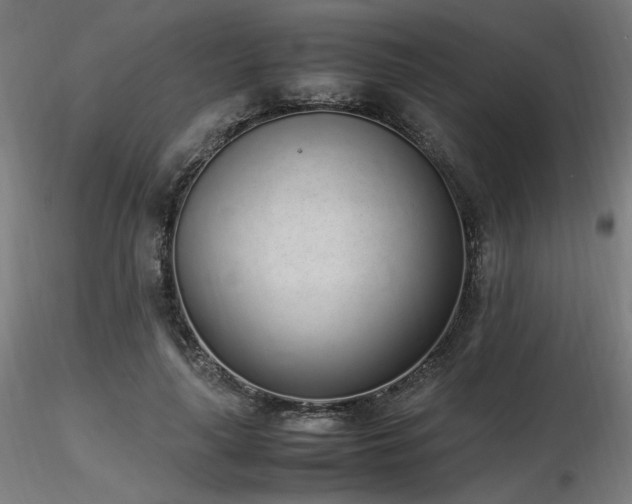 X0000116840643200912181458