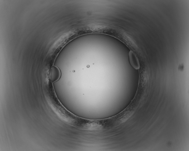 X0000116840644200912181458