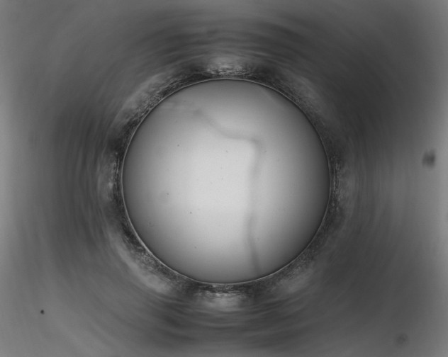 X0000116840645200912181458