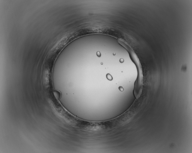 X0000116840646200912181458