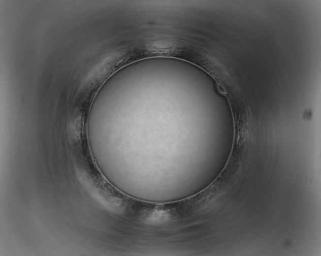 X0000116840647200912181458