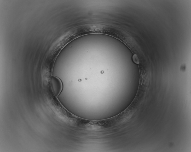 X0000116840648200912181458