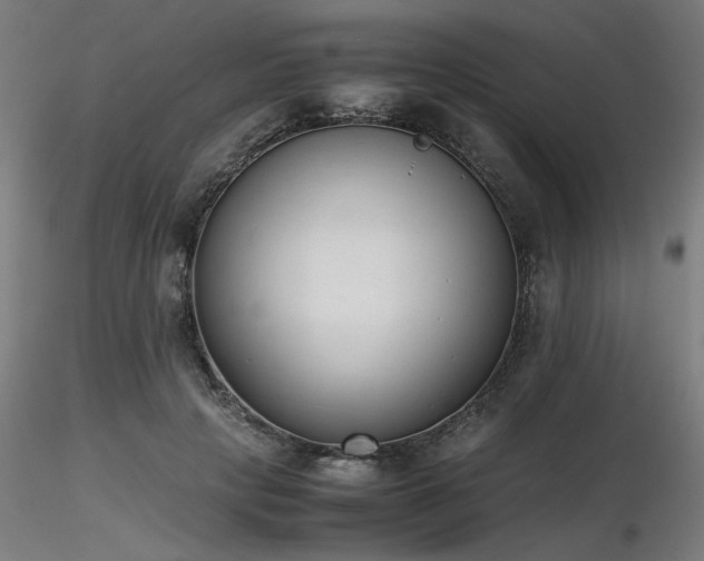 X0000116840649200912181458