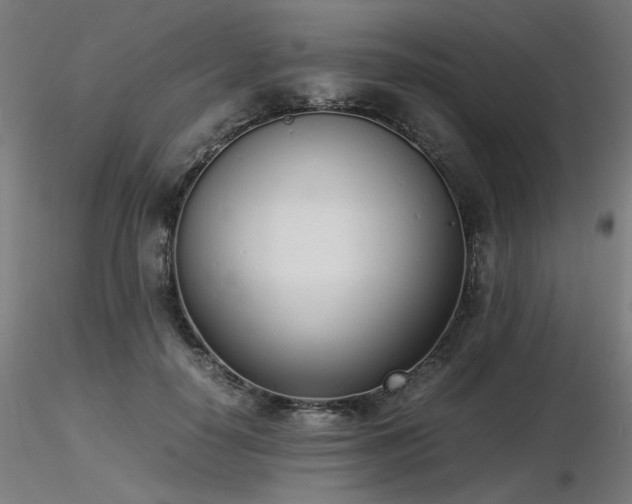 X0000116840650200912181458