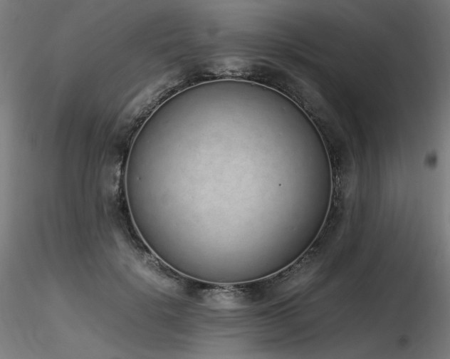 X0000116840652200912181458