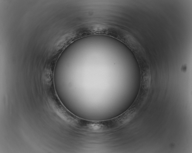 X0000116840654200912181458