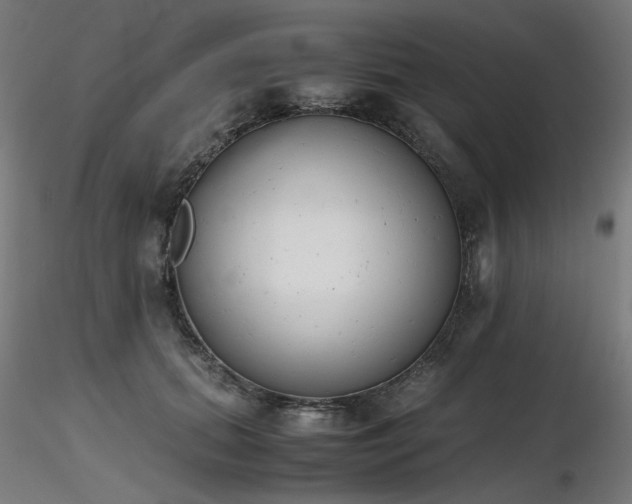 X0000116840655200912181458