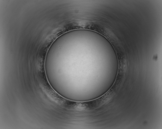 X0000116840656200912181458