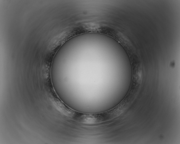 X0000116840658200912181458