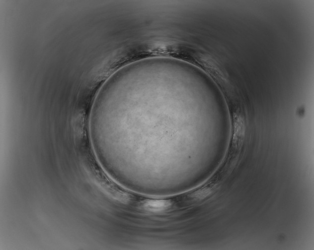 X0000116840659200912181458
