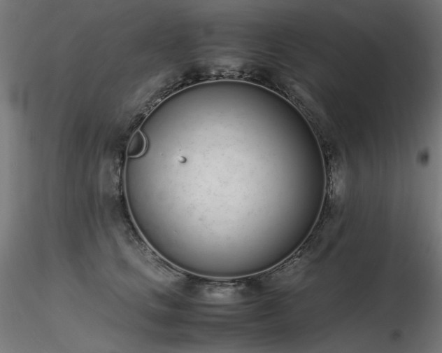 X0000116840661200912181459