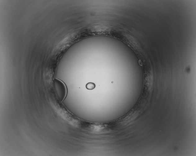 X0000116840662200912181459