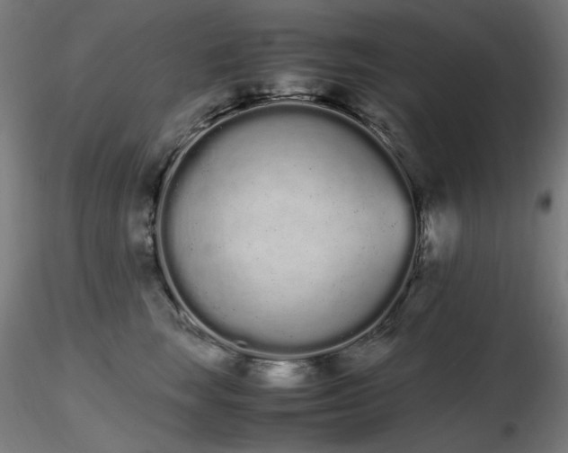 X0000116840663200912181459