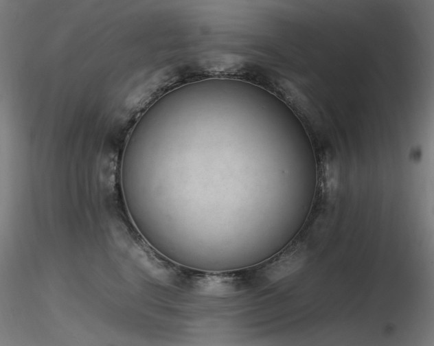 X0000116840664200912181459
