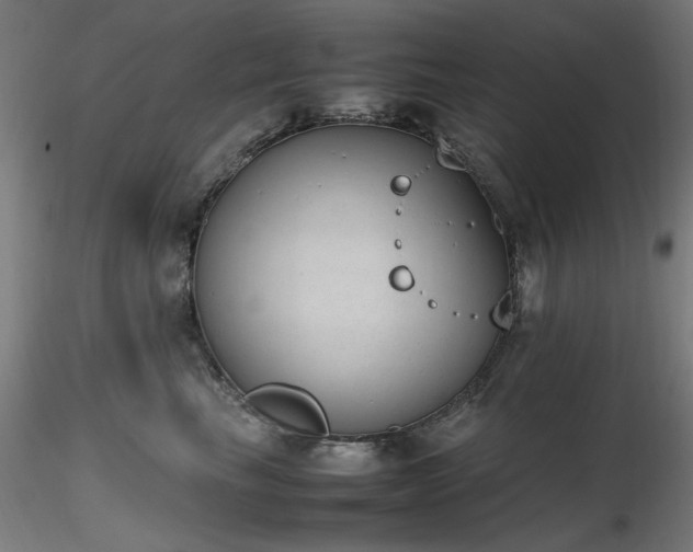 X0000116840665200912181459