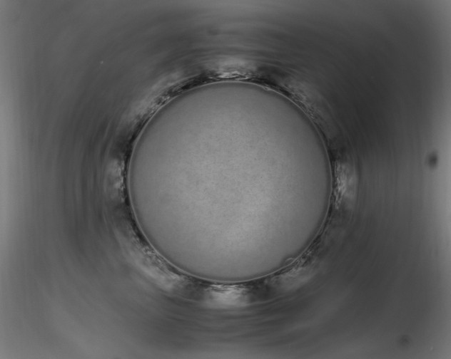 X0000116840667200912181459