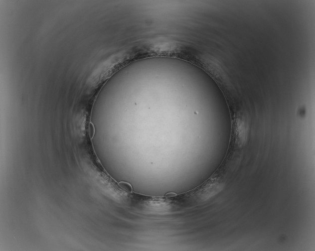 X0000116840668200912181459