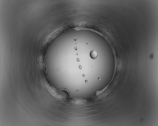 X0000116840670200912181459