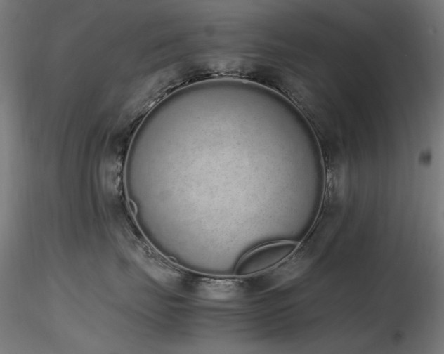 X0000116840671200912181459