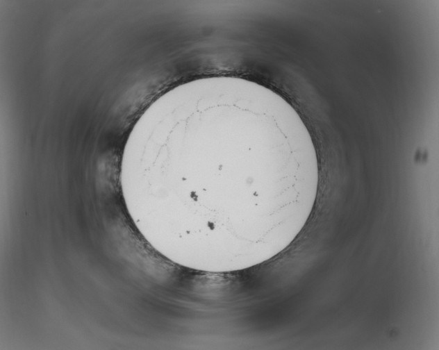 X0000116840672200912181459