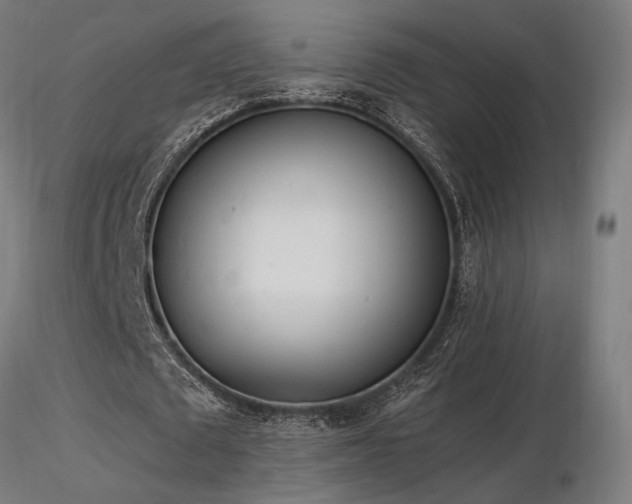 X0000116840673200912181458