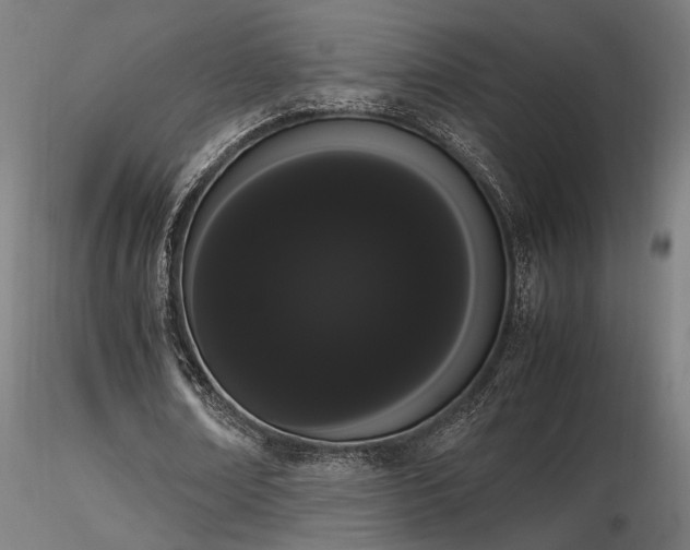 X0000116840674200912181458