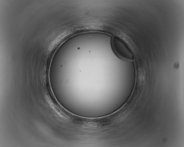 X0000116840677200912181458