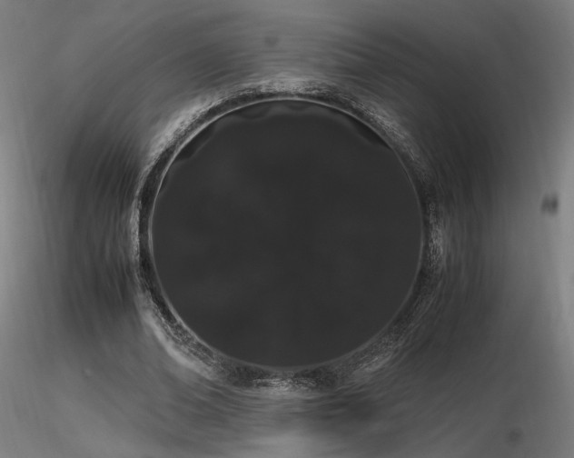 X0000116840678200912181458