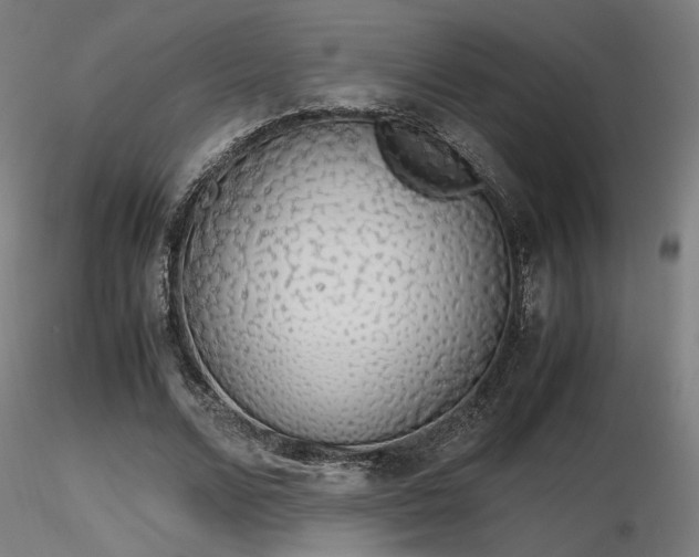 X0000116840680200912181458
