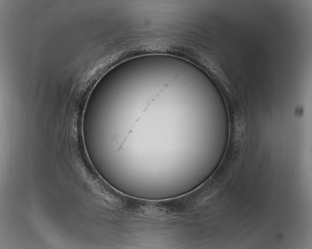 X0000116840681200912181458