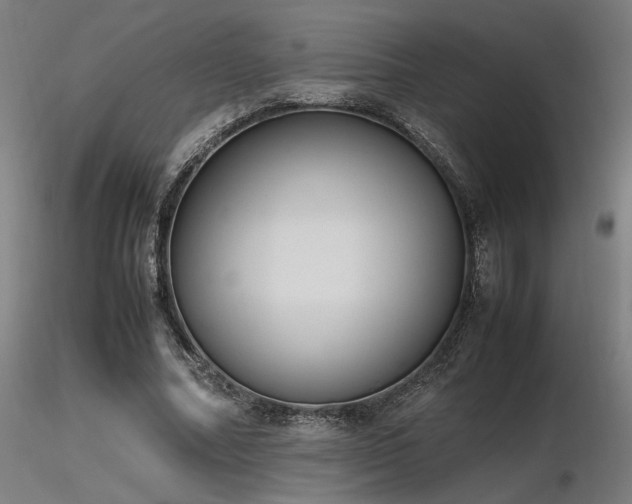 X0000116840682200912181458