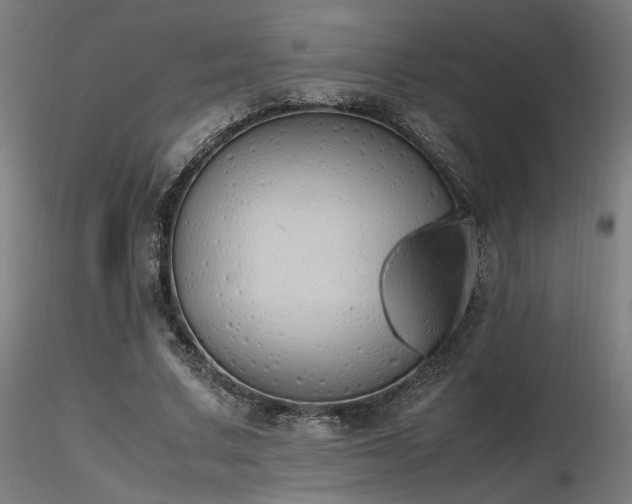 X0000116840683200912181458