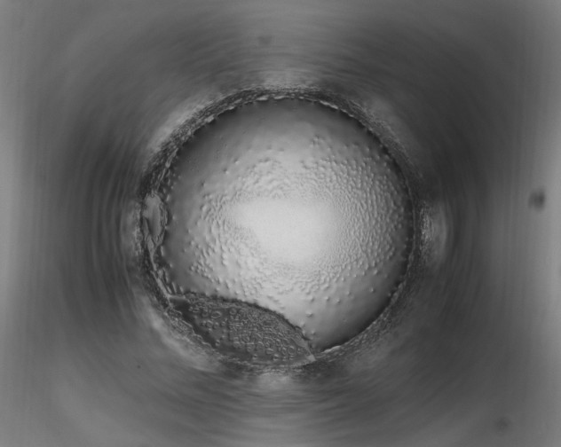 X0000116840684200912181458