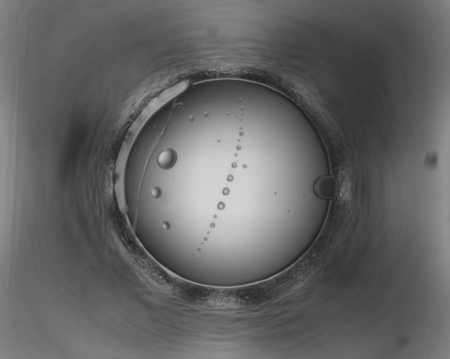 X0000116840685200912181458
