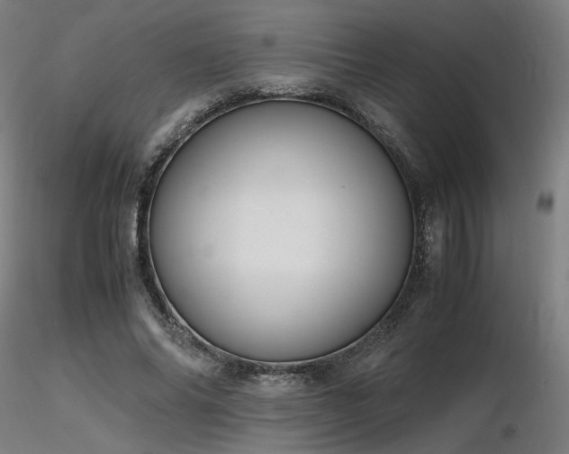 X0000116840686200912181458