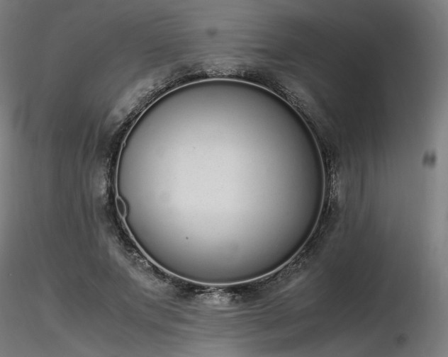 X0000116840687200912181458